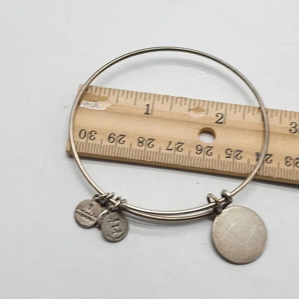 Alex and Ani Women's T Initial Charms Bangle Bracelet Silver Tone Adjustable